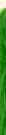 �t�� on-line