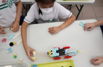 P.3 活潑小飛馬