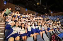 2024年世界女排聯賽 – 比賽觀賞